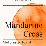 Mandarine Cross, økologiske tomatfrø