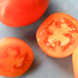 Mandarine Cross, økologiske tomatfrø