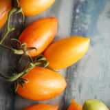 Märchenzauber, økologiske tomatfrø