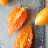 Märchenzauber, økologiske tomatfrø