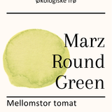 Marz Round Green, økologiske tomatfrø