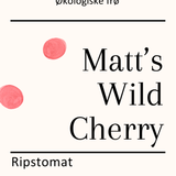 Matt's Wild Cherry, økologiske tomatfrø