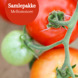 Samlepakke: 4 mellomstore tomater, økologiske tomatfrø
