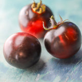 Midnight Select, økologiske tomatfrø