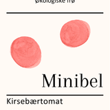 Minibel, økologiske tomatfrø