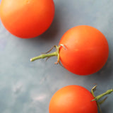 Orange Favorite, økologiske tomatfrø