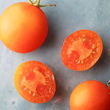 Orange Favorite, økologiske tomatfrø