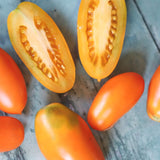 Orange Icicle, økologiske tomatfrø