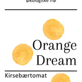 Orange Dream, økologiske tomatfrø