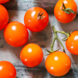 Orange Dream, økologiske tomatfrø