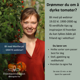 Gratis tomatwebinar: Dyrk dine egne tomater!