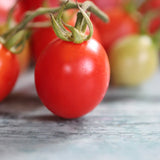 Piennolo del Vesuvio, økologiske tomatfrø
