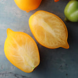 Plum Lemon, økologiske tomatfrø