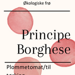 Principe Borghese