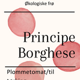 Principe Borghese