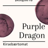 Purple Dragon, økologiske tomatfrø