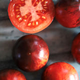 Queen of the Night, økologiske tomatfrø