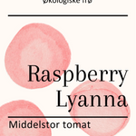 Raspberry Lyanna