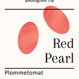 Red Pearl, økologiske tomatfrø