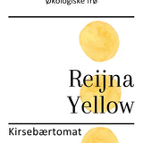 Reijna Yellow, økologiske tomatfrø