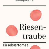 Riesentraube, økologiske tomatfrø
