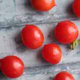 Reverend Michael Keyes, økologiske tomatfrø