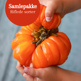 Samlepakke: 4 riflede tomater, økologiske tomatfrø