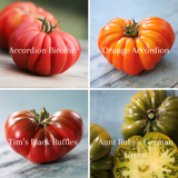 Frøpakke: 4 rillede tomater, økologiske tomatfrø