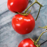 Rondobella, økologiske tomatfrø