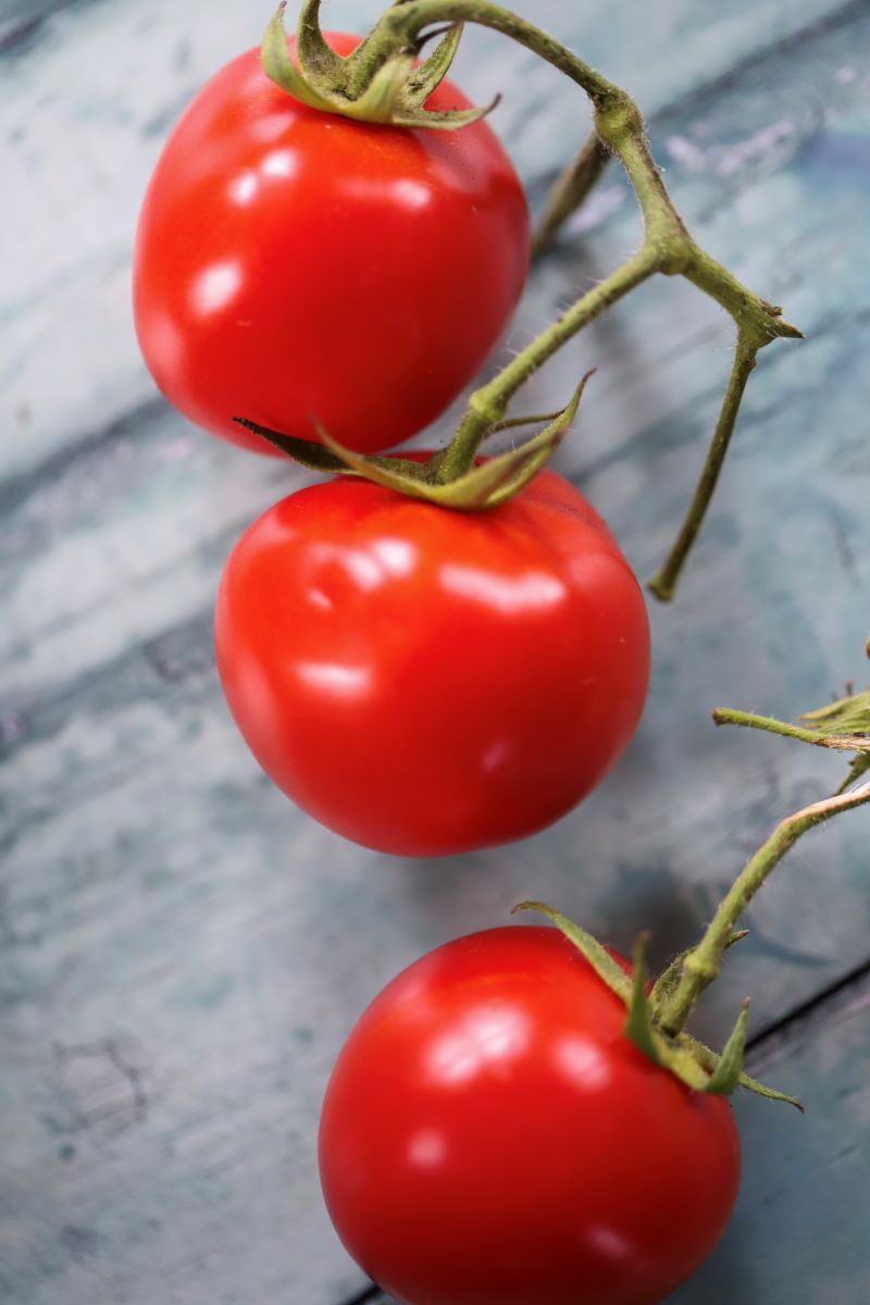 Bella Rondo Rondobella, økologiske tomatfrø – Husmannshagan