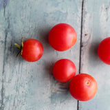 Rose Quarts, økologiske tomatfrø