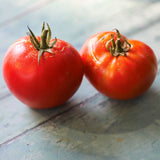 Rostova, økologiske tomatfrø