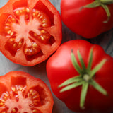 Russo Sicilian Toggeta, økologiske tomatfrø