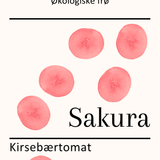 Sakura, økologiske tomatfrø