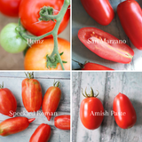 Frøpakke: 4 saustomater, økologiske tomatfrø