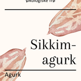 Sikkim-agurk, økologiske frø