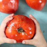 Dwarf Speckled Heart, økologiske tomatfrø