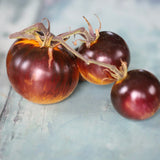 Stripes of Yore, økologiske tomatfrø