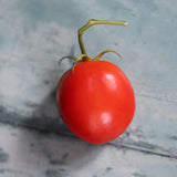 Sub Arctic Plenty, økologiske tomatfrø