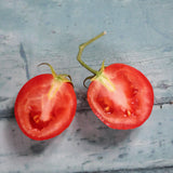 Sub Arctic Plenty, økologiske tomatfrø