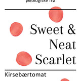 Sweet & Neat Scarlet, økologiske tomatfrø