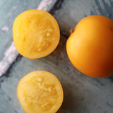 Taxi, økologiske tomatfrø