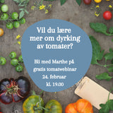 Gratis tomatwebinar: Dyrk dine egne tomater!