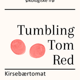 Tumbling Tom Red, økologiske tomatfrø