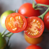 Vesenni Michurinskii, økologiske tomatfrø