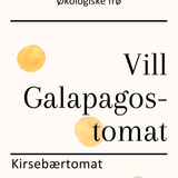 Vill Galapagos, økologiske tomatfrø