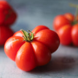 Voyage, økologiske tomatfrø