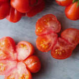 Voyage, økologiske tomatfrø