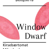 Window Dwarf, økologiske tomatfrø