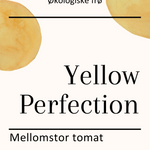 Yellow Perfection